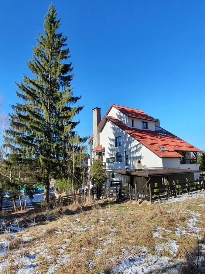 Vila Berlin Hotel Brassópojána Kültér fotó